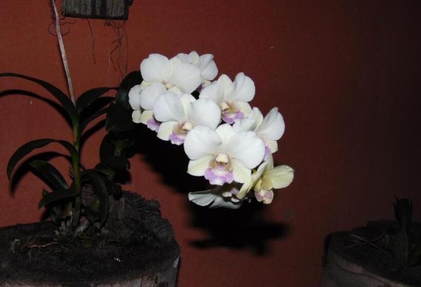 Отель Pousada Do Mendonça