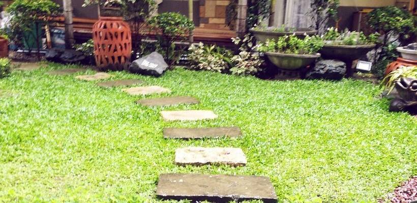 Regency Hotel De Vigan