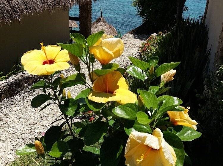 هتل Tepanee Beach Resort