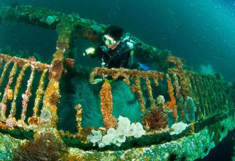 هتل The Sharks Tail Dive Center