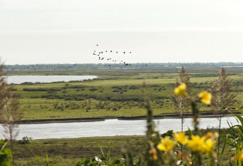 ホテル Vistal Río