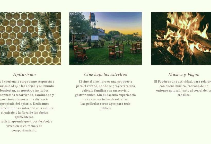 ホテル Vistal Río