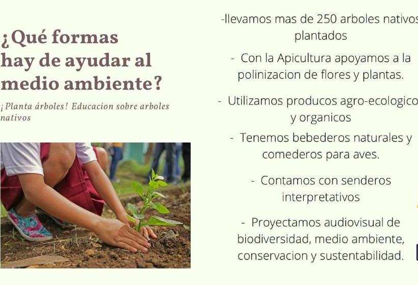 ホテル Vistal Río