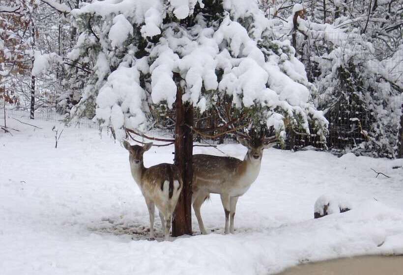 هتل Xenios Chalets