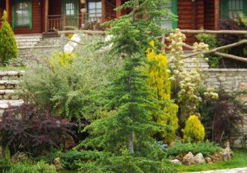 هتل Xenios Chalets