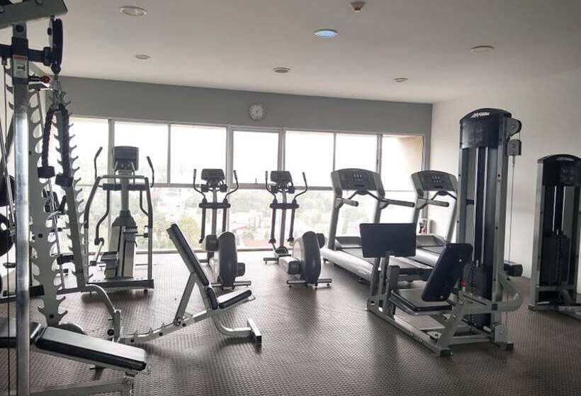 Elite 47 Hotel & Suites