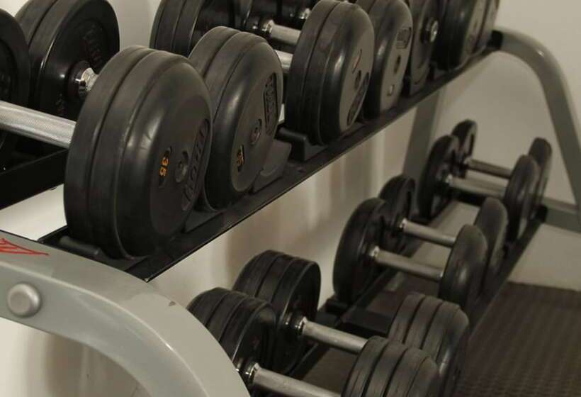 Elite 47 Hotel & Suites