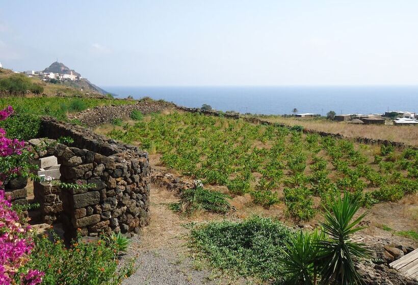 هتل Agriturismo Zibibbodoro