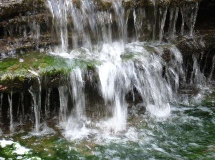 فندق Blue Heron B&b And Retreat Center