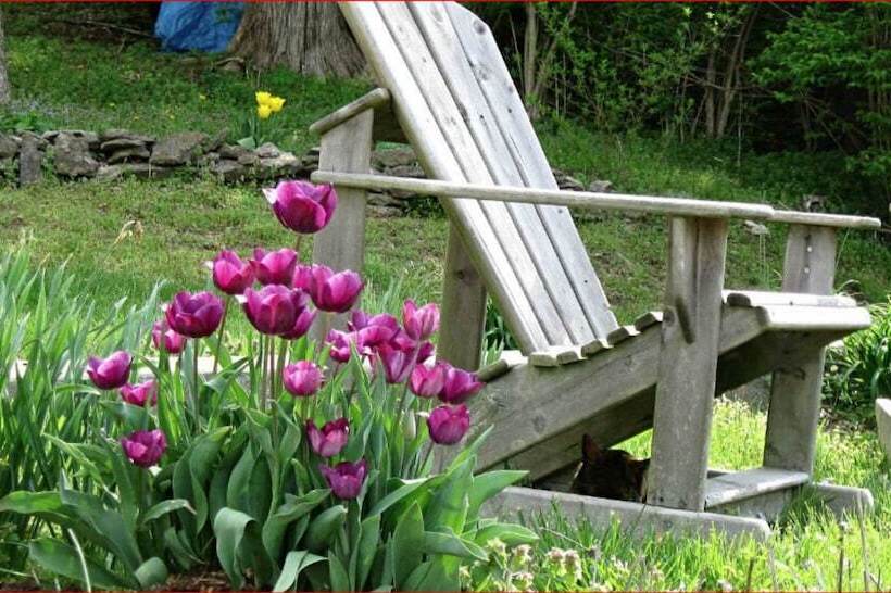 فندق Blue Heron B&b And Retreat Center