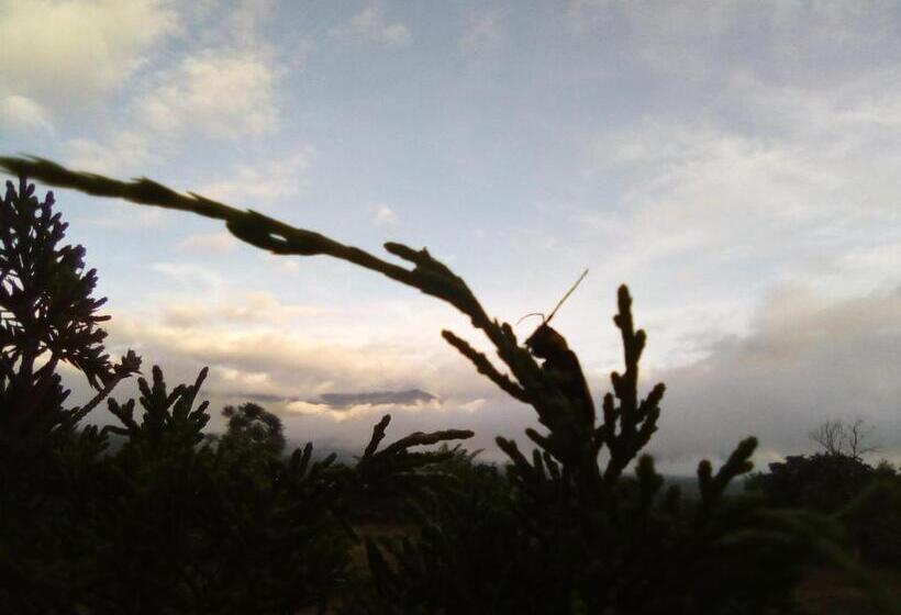 酒店 Chilling Hill Guesthouse