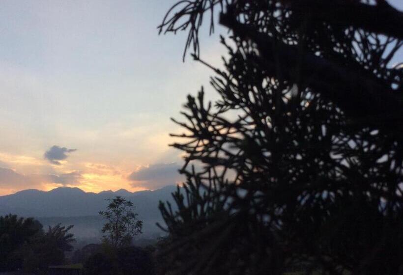 酒店 Chilling Hill Guesthouse