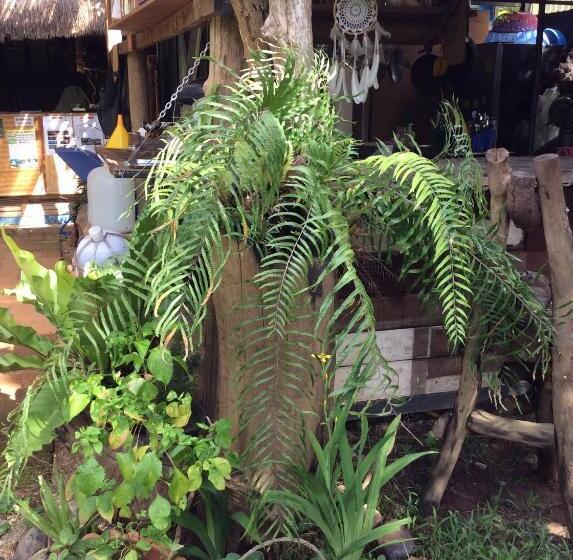 酒店 Chilling Hill Guesthouse