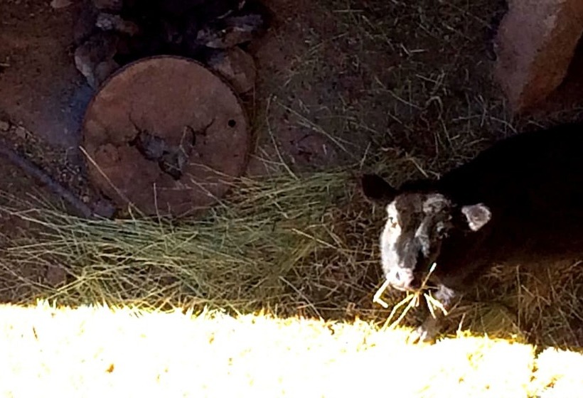 Отель Gite Likemte