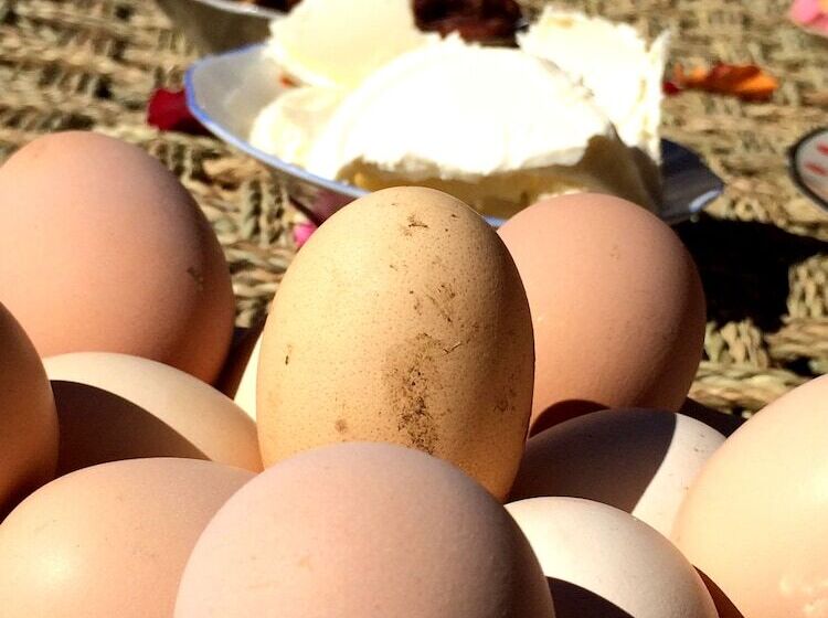 Отель Gite Likemte