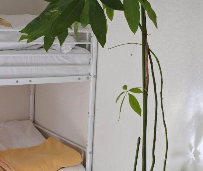 בית מלון כפרי Guest House M104 Kagoshima