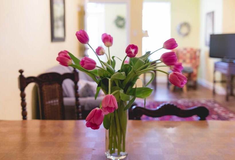 فندق High Cotton Inn