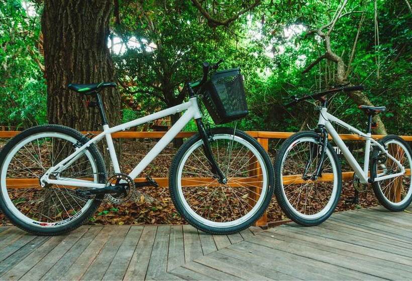 בית מלון כפרי Las Islas