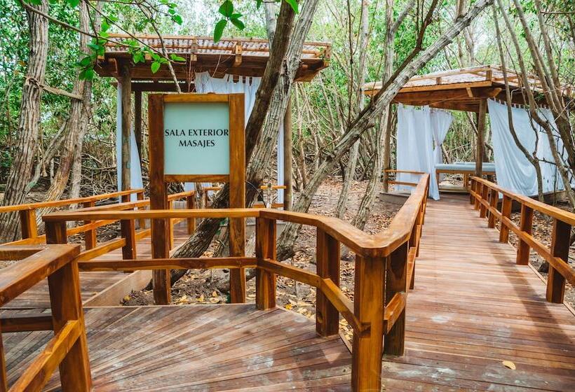 בית מלון כפרי Las Islas