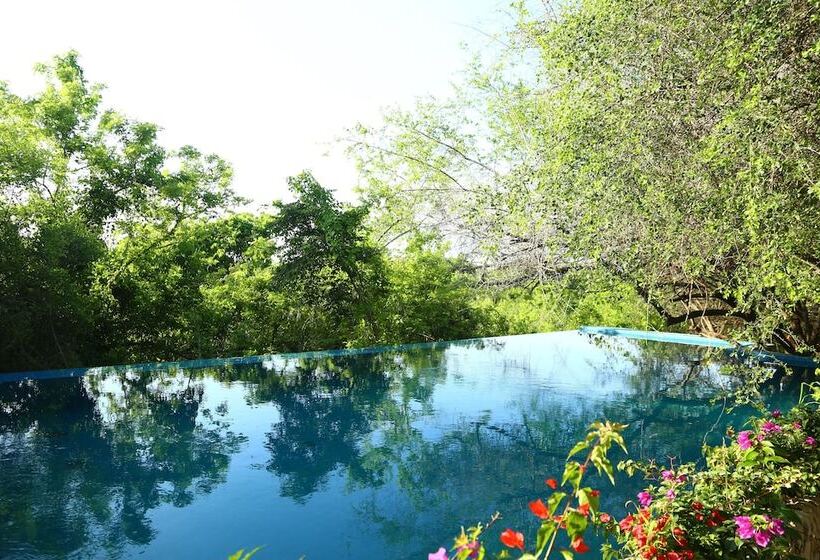 בית מלון כפרי Las Islas