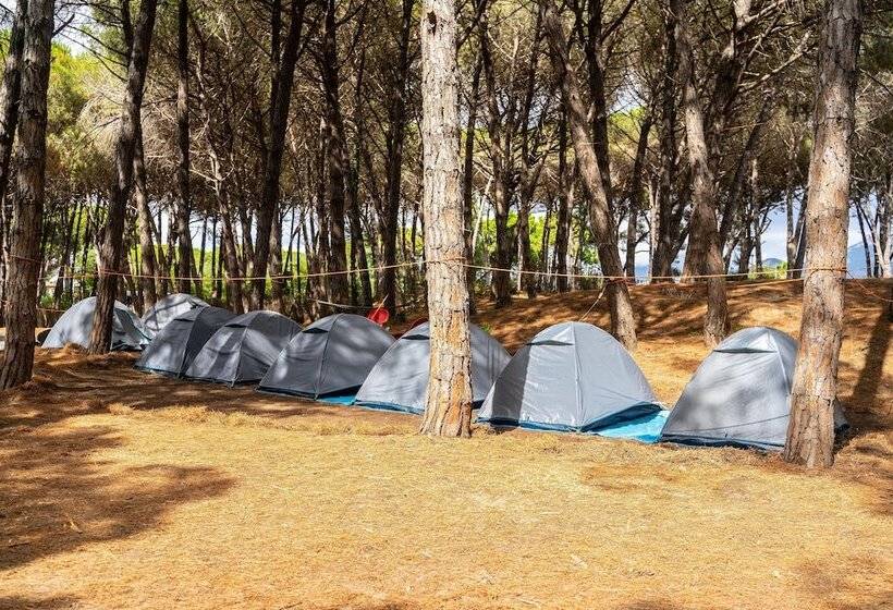 هتل Camping Village Mare Pineta