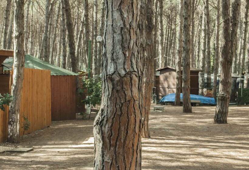 酒店 Camping Village Mare Pineta