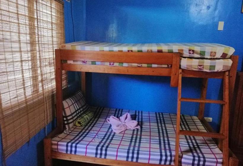 Отель Marie Ville Bed & Breakfast