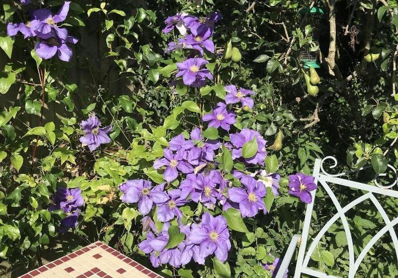 Отель Pigeon House Cottage B&b