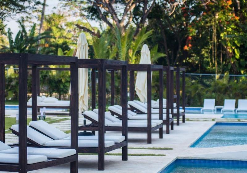 ホテル Presidential Suites Lifestyle Cabarete   Room Only