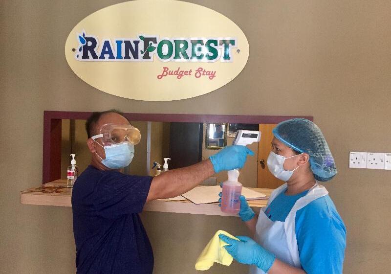 Отель Rainforest Budget Stay