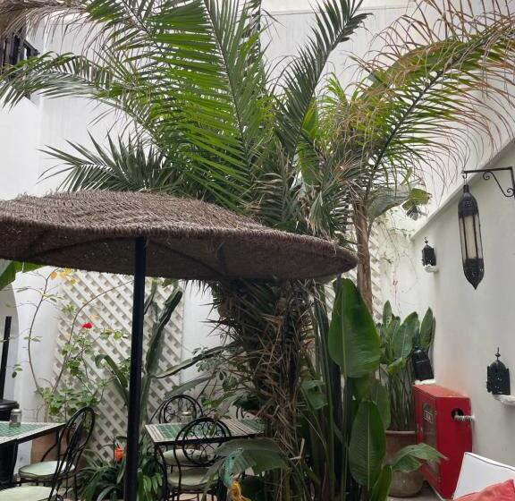 בית מלון כפרי Riad Dar Awil