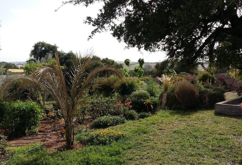 هتل Riad Tigmin Eden