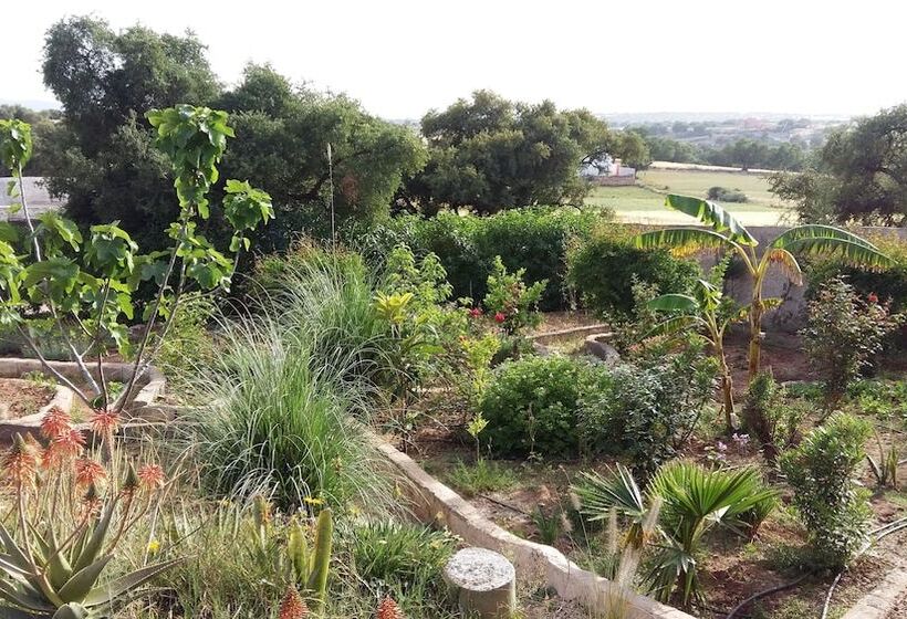 هتل Riad Tigmin Eden