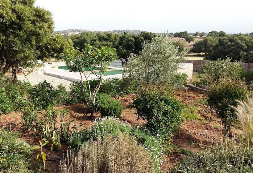 هتل Riad Tigmin Eden