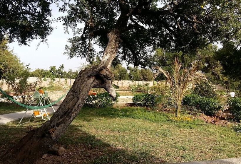 هتل Riad Tigmin Eden