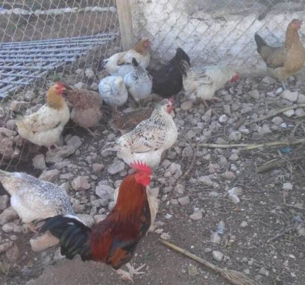 هتل Riad Tigmin Eden