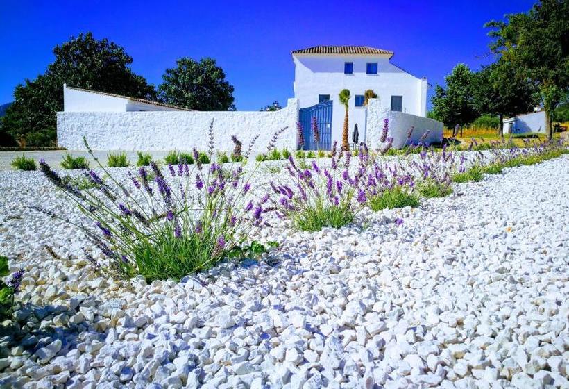 酒店 Ronda Moments