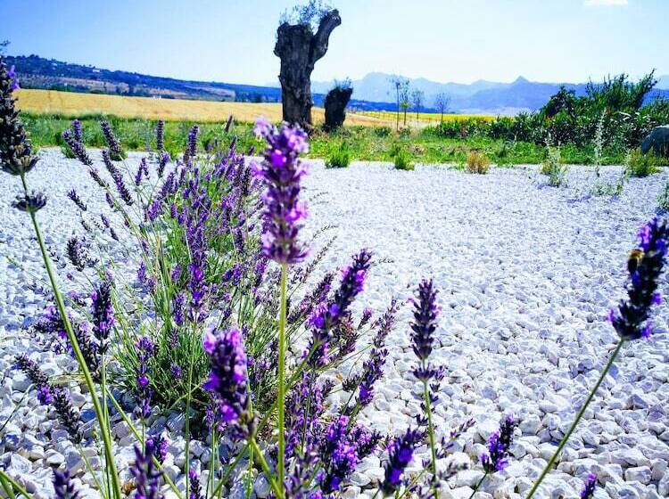 酒店 Ronda Moments