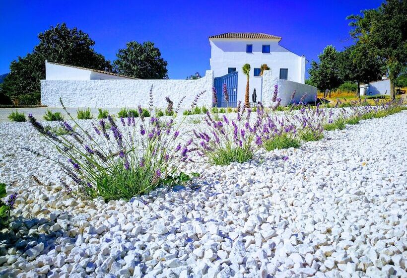 酒店 Ronda Moments