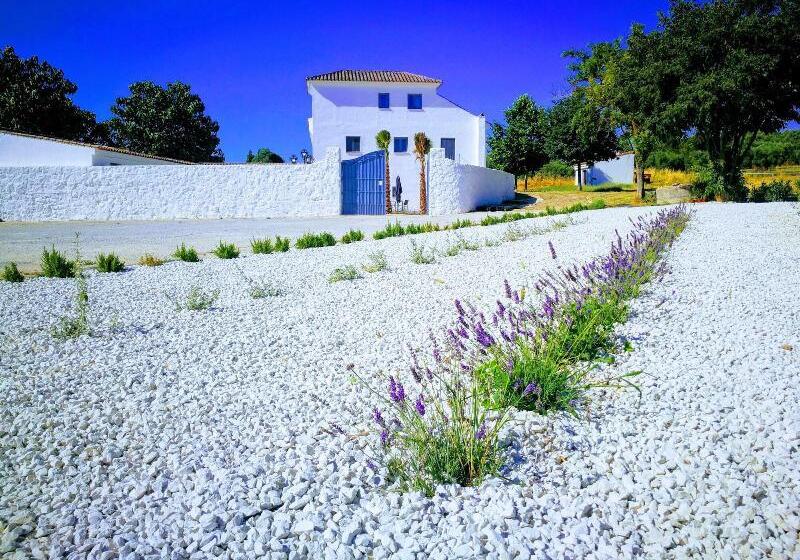 酒店 Ronda Moments