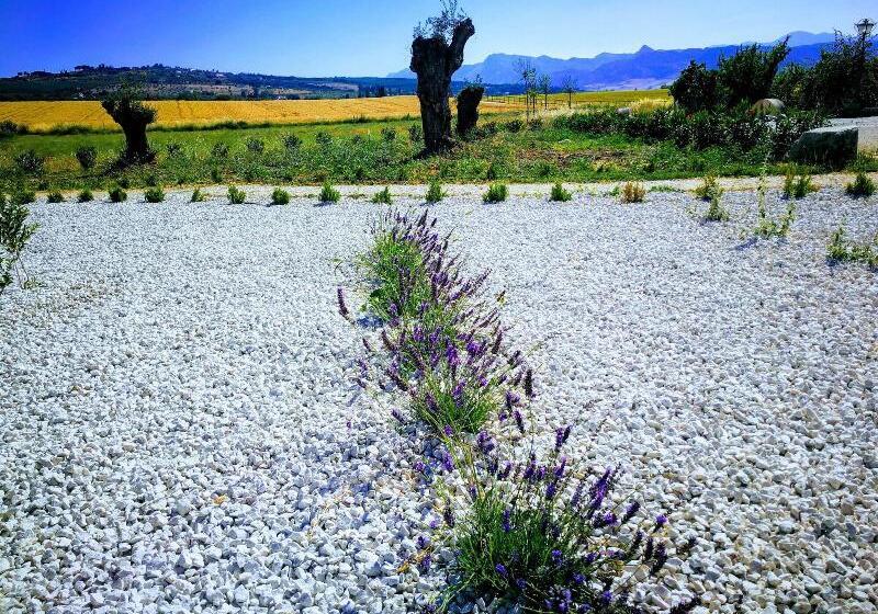 酒店 Ronda Moments