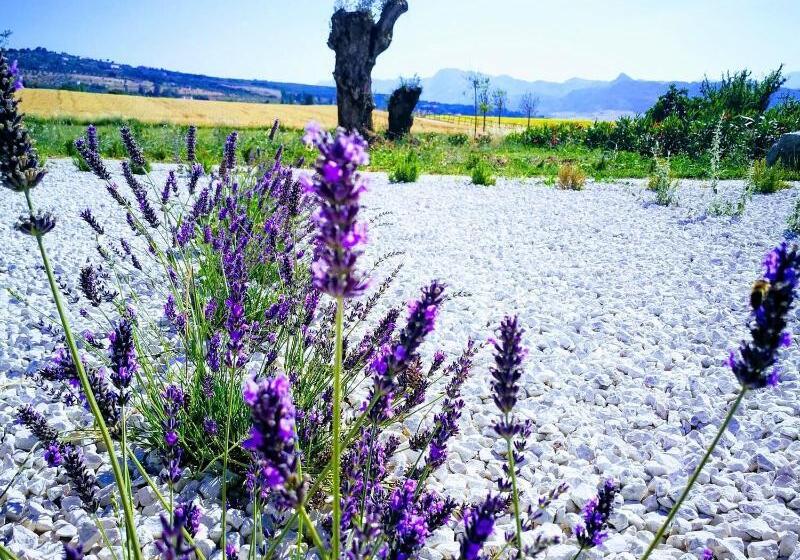 酒店 Ronda Moments