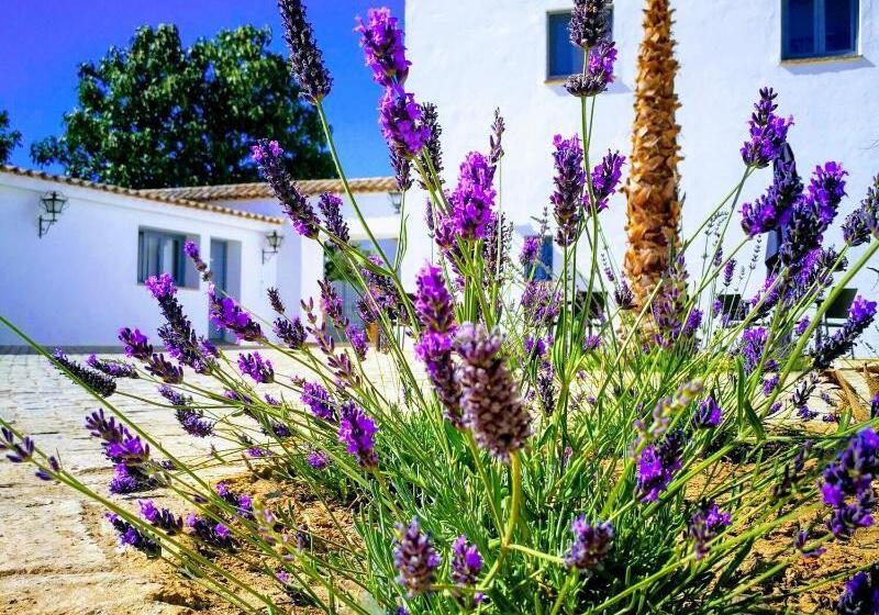 酒店 Ronda Moments