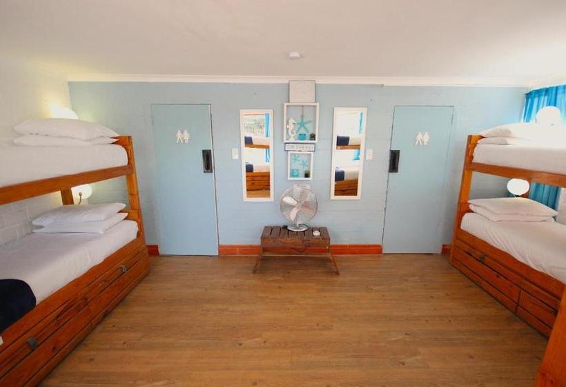Отель Saltycrax Backpackers And Surf Hostel By Curiocity