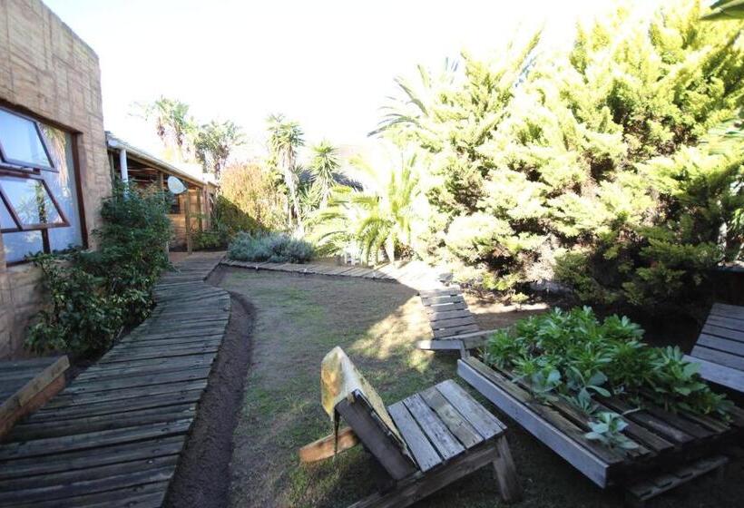 Отель Saltycrax Backpackers And Surf Hostel By Curiocity