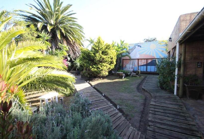 Отель Saltycrax Backpackers And Surf Hostel By Curiocity