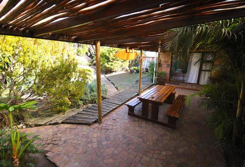 Отель Saltycrax Backpackers And Surf Hostel By Curiocity