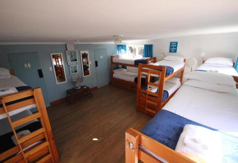 Отель Saltycrax Backpackers And Surf Hostel By Curiocity