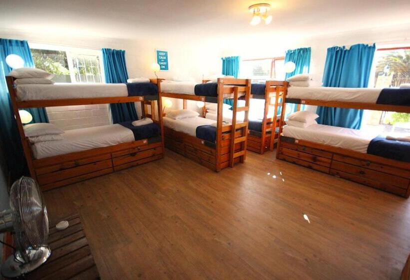 Отель Saltycrax Backpackers And Surf Hostel By Curiocity