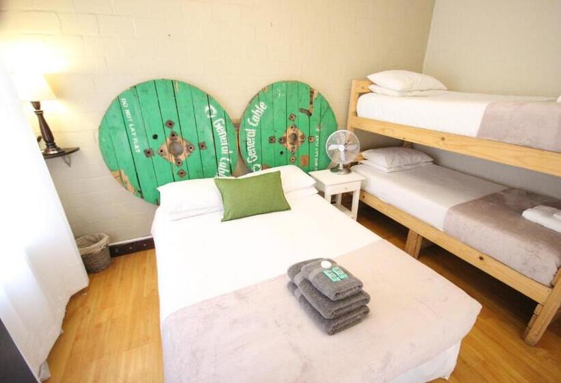 Отель Saltycrax Backpackers And Surf Hostel By Curiocity